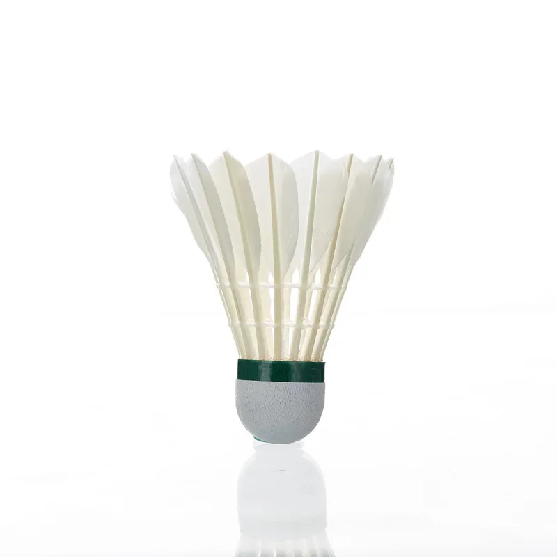 Kawasaki Shuttle Bulutangkis K - Badminton Raket ulasan dan harga